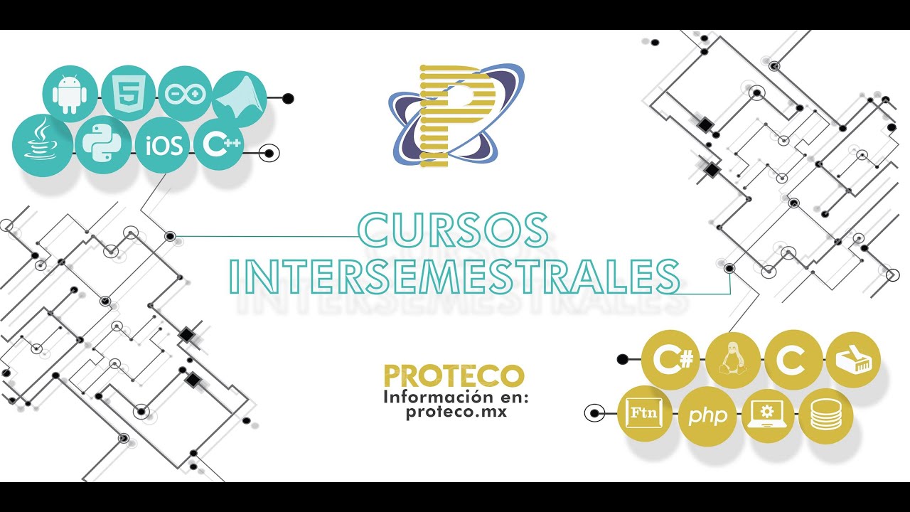 Arrays y Strings con JavaScript | Taller