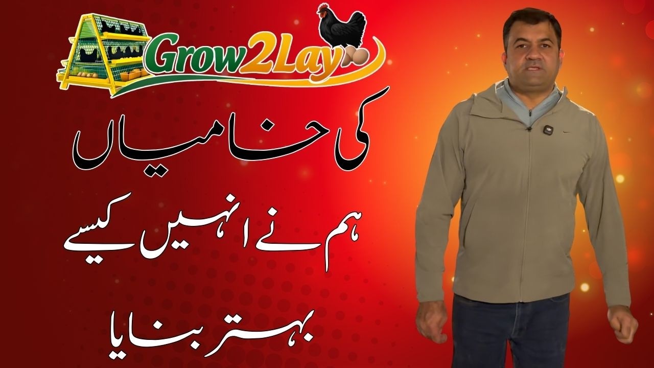Drawbacks in Grow2Lay Cage & How we improve this