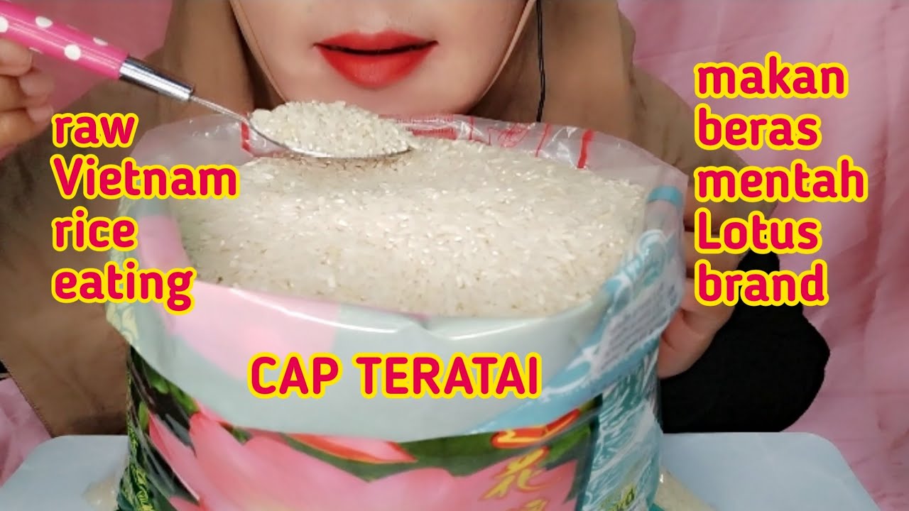 ASMR RAW VIETNAM RICE |MAKAN BERAS MENTAH LOTUS BRAND CAP TERATAI, EATING SOUNDS, 生ご飯を食べる, 밥을 먹다,吃生米