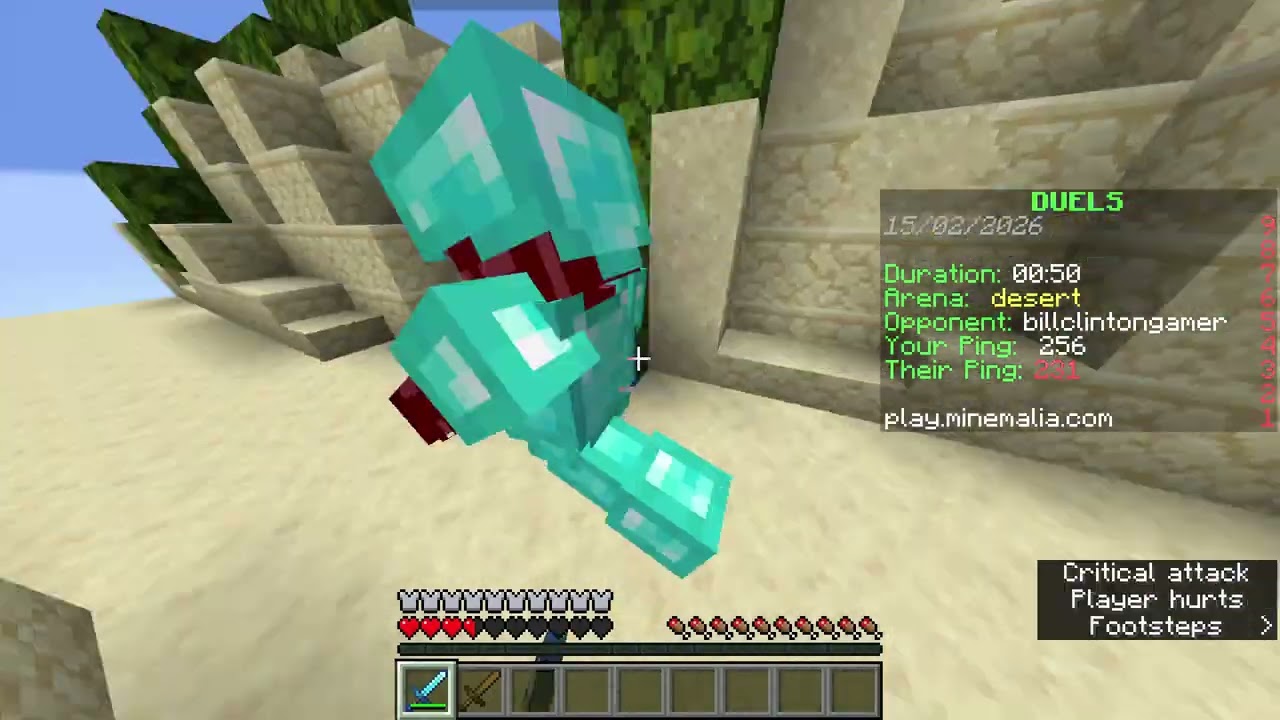 Minecraft  1 21 11   minema;lia