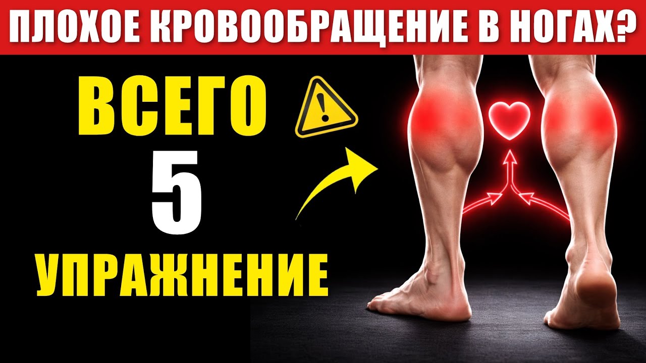 Старше 50 лет? Делайте ЭТИ 5 упражнений при плохом кровообращении в ногах | Здоровье пожилых