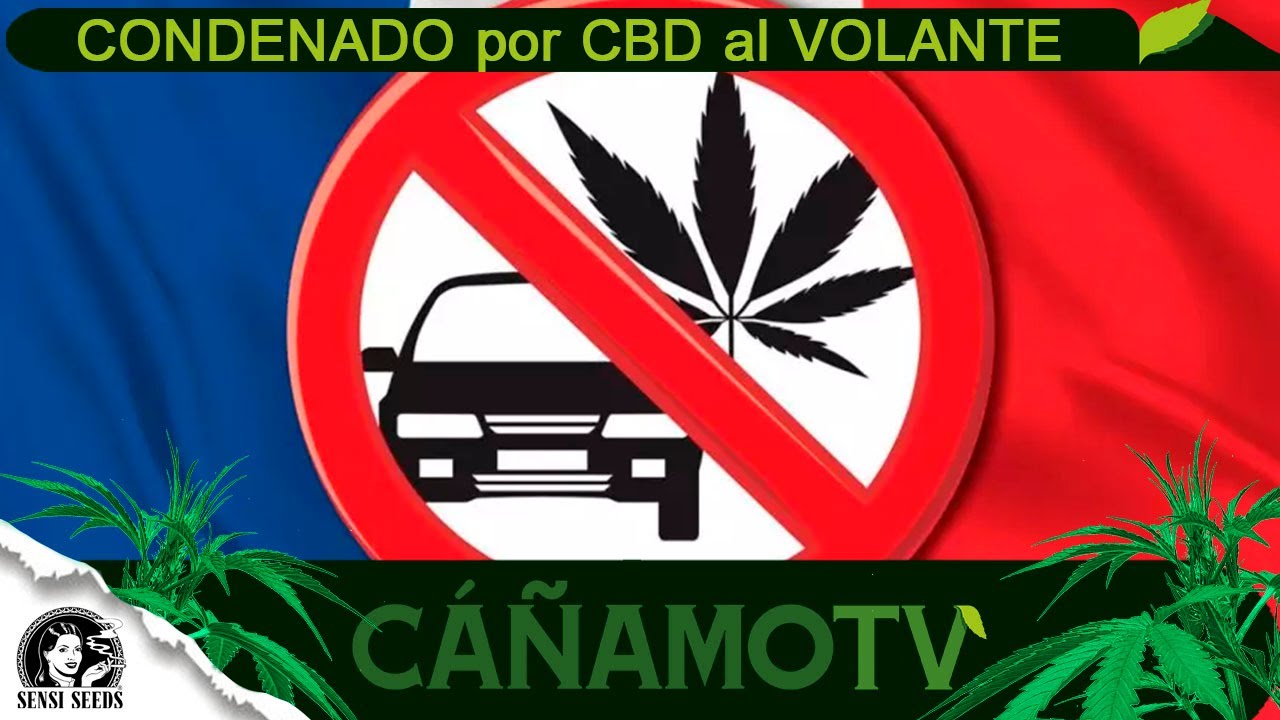SANCIONADO por POSITIVO en CBD al VOLANTE