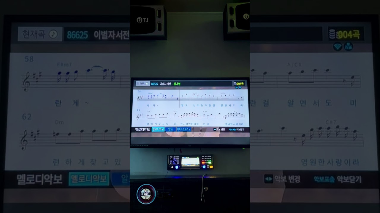 이별자서전-김나영(cover.코노)