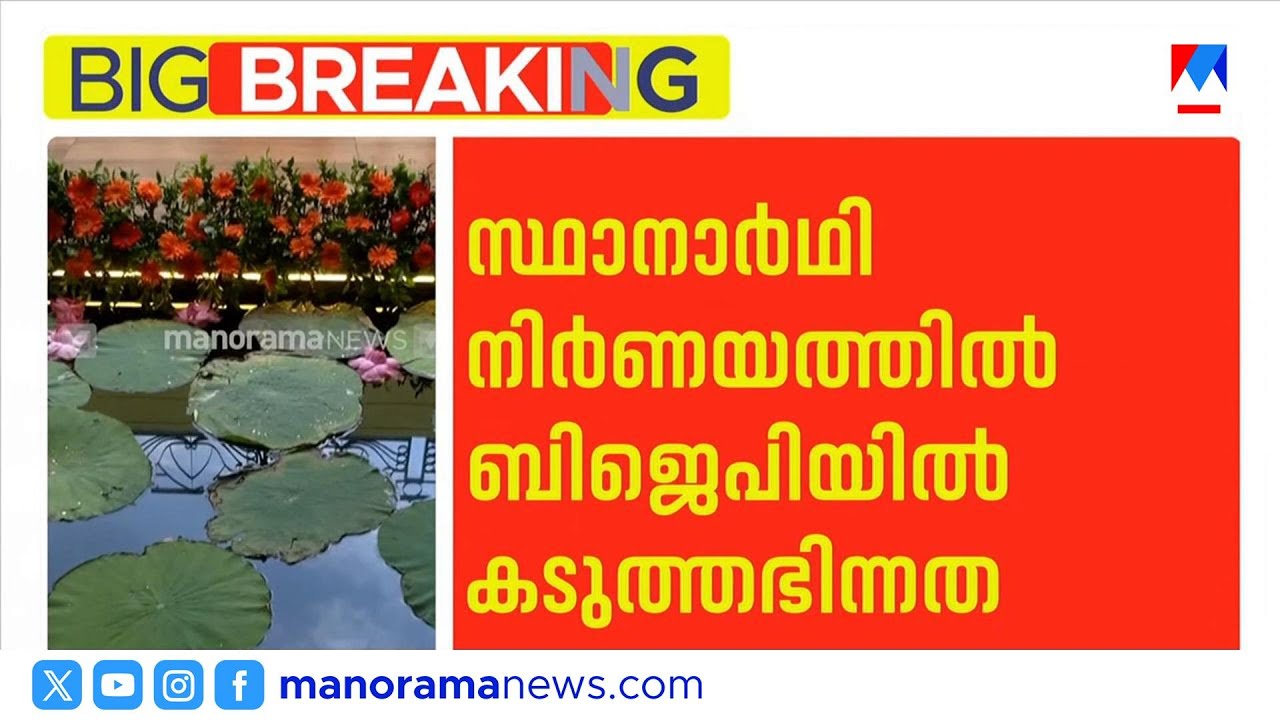 ബിജെപി സ്ഥാനാർഥി നിർണയത്തിൽ ഭിന്നത; മുതിർന്ന നേതാക്കളെ അവഗണിച്ചു | BJP | NDA