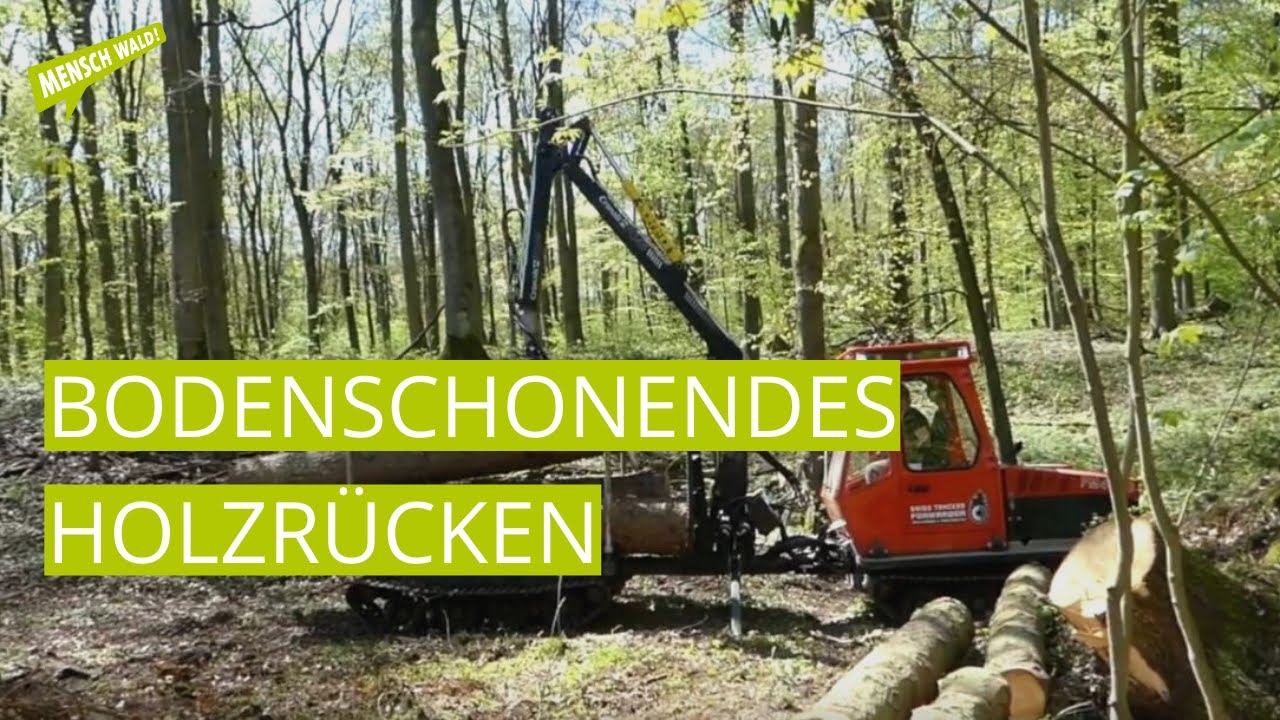 Bodenschonendes Holzrücken in Knechtsteden