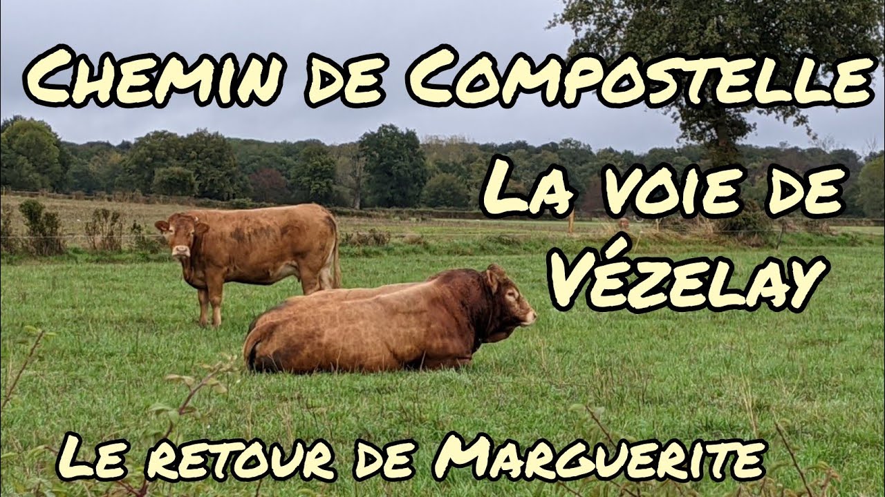Vézelay #14 : le retour de Marguerite