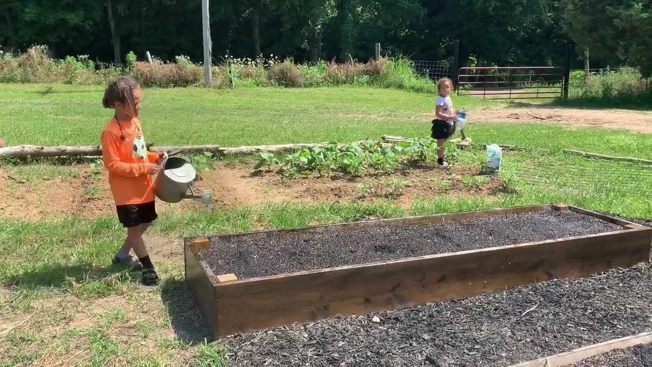 2021 Vegetable Garden Recap