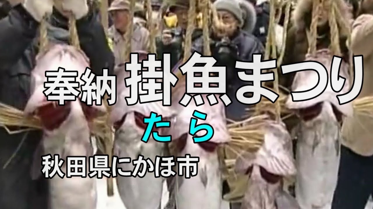 【にかほ市金浦小正月行事】奉納掛魚まつり（秋田県にかほ市）