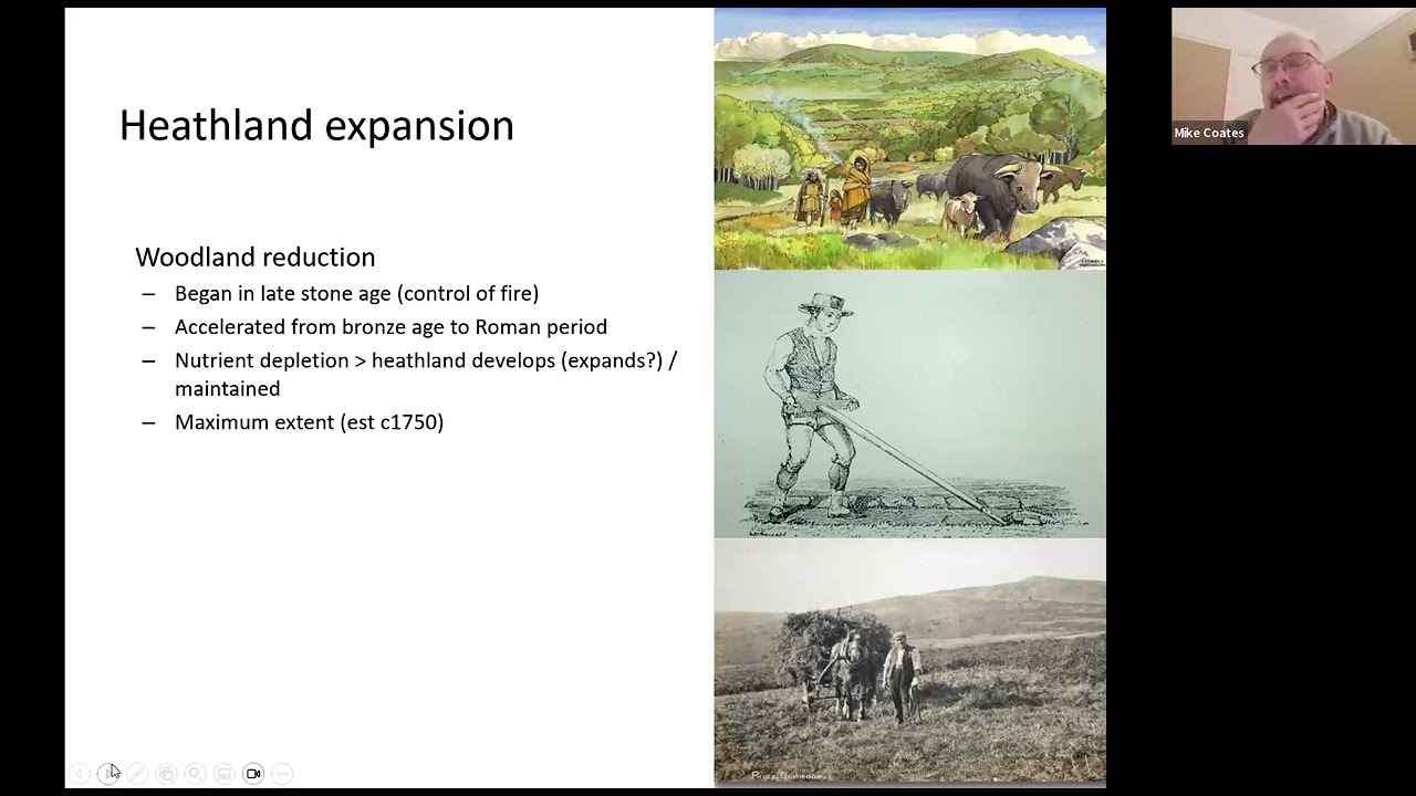 Heathland Birds and Urbanisation Impacts