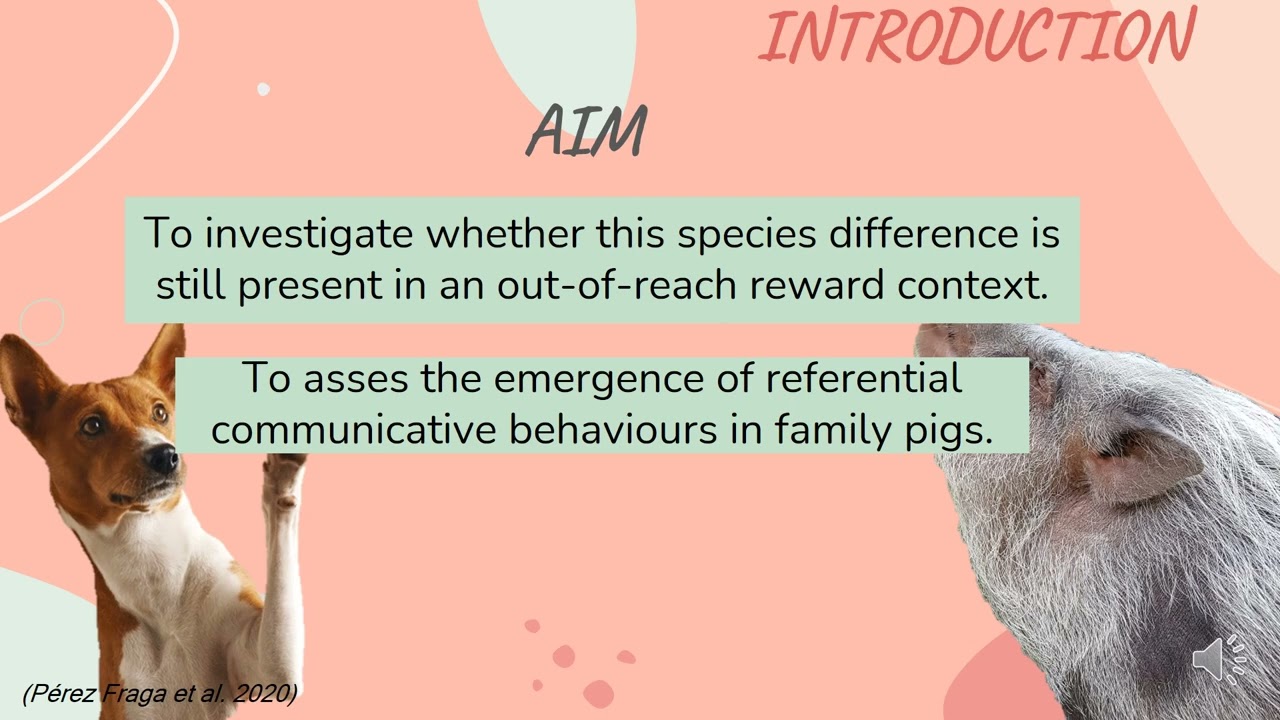 Pigs' and dogs' human-oriented communicative behaviours in the presence of... [Pérez Fraga, Paula]