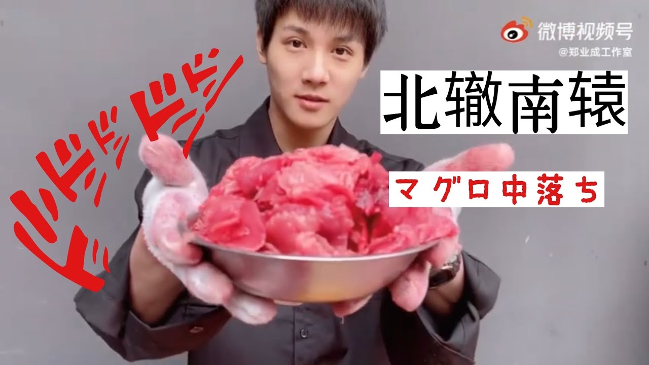 北辙南辕 まぐろ解体！中落ちが美味しそう🎵#北辙南辕 #鄭業成 #zheng #郑业成 #中国ドラマ #中国俳優