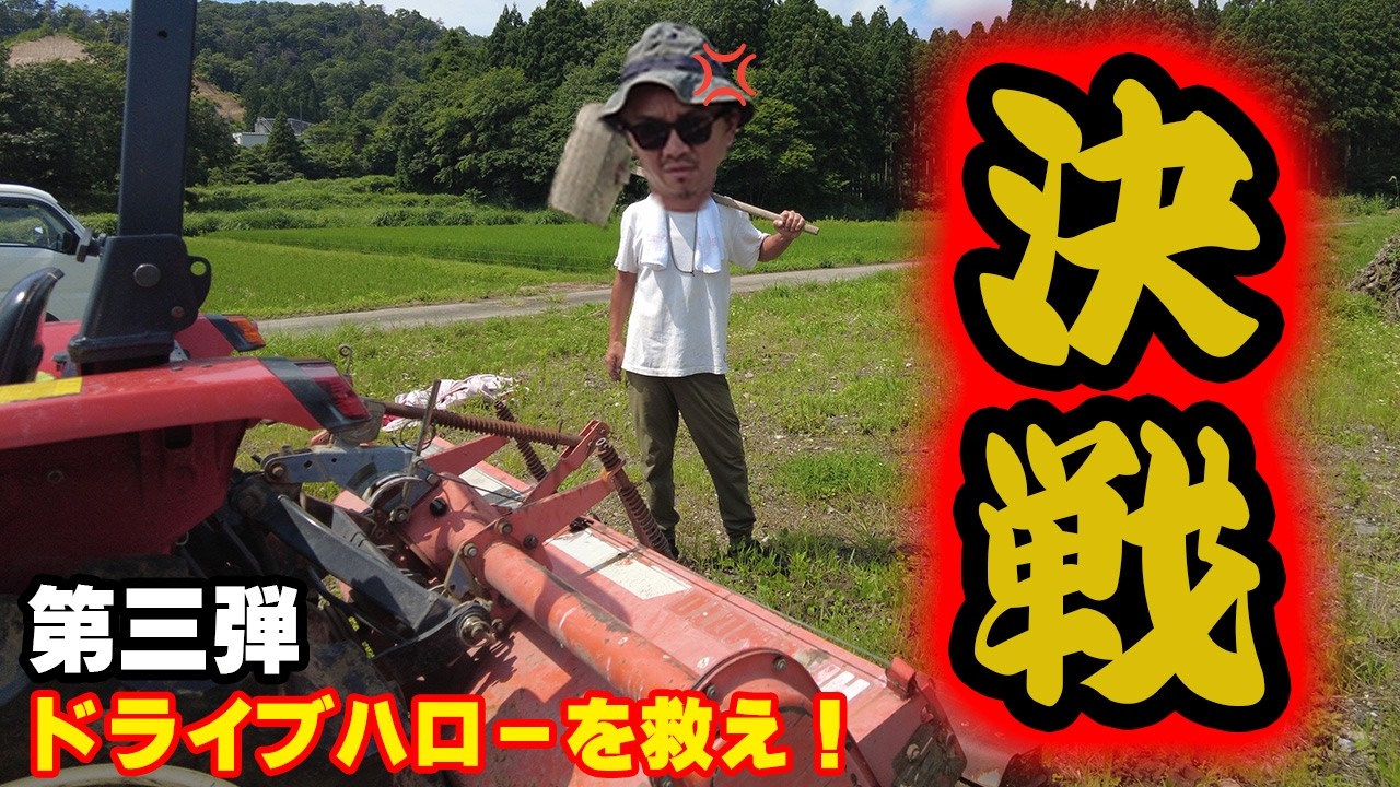 ドライブハローを貰った結果、大変なことに！(RICE IS COMEDY®︎)