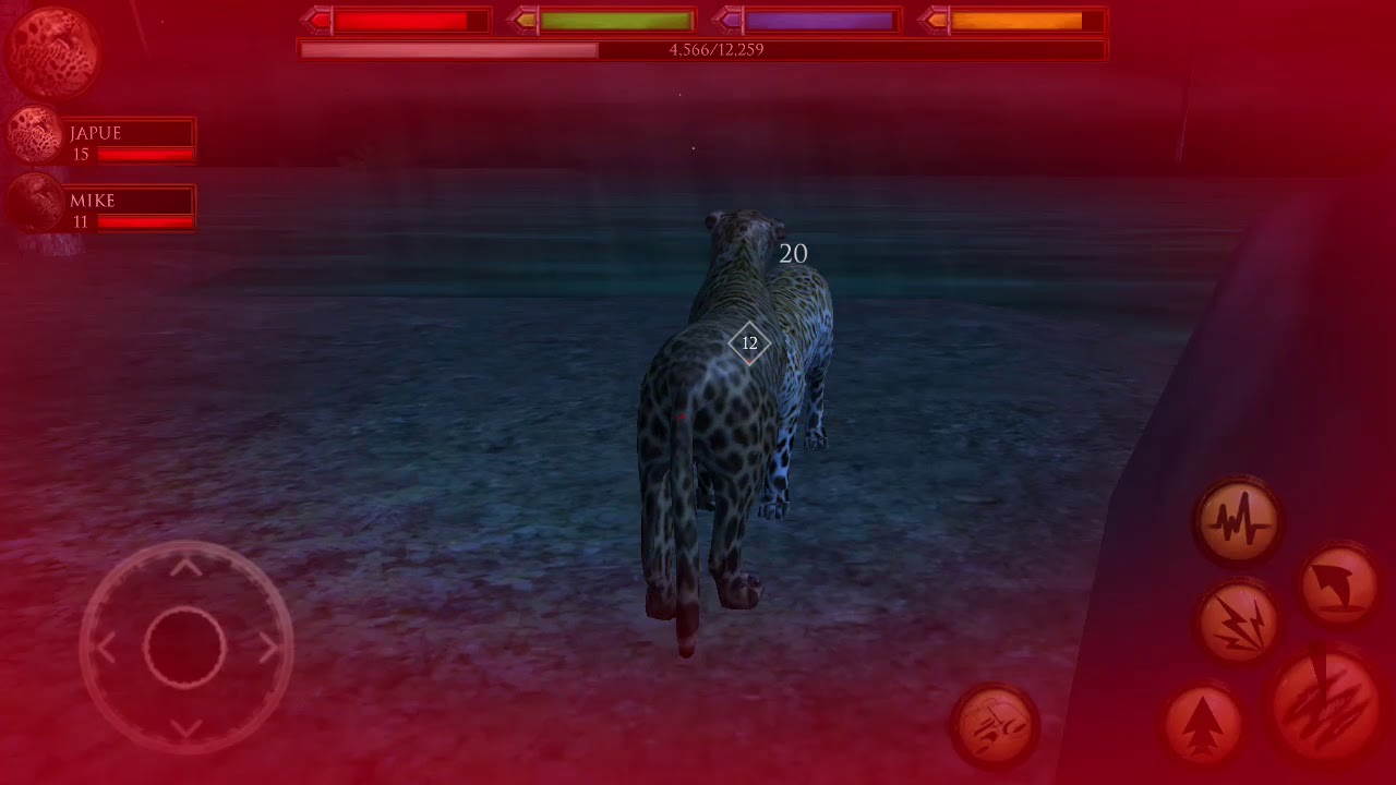 The ultimate Jungle 3 leopards packs