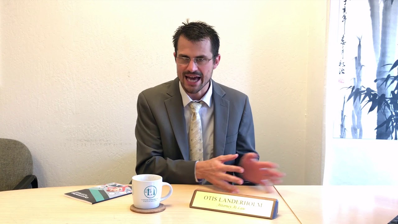 Landerholm Immigration Academy - Consulting Services
