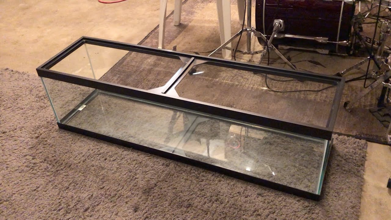 NEW TANK BUILD! 33 GALLON LONG!