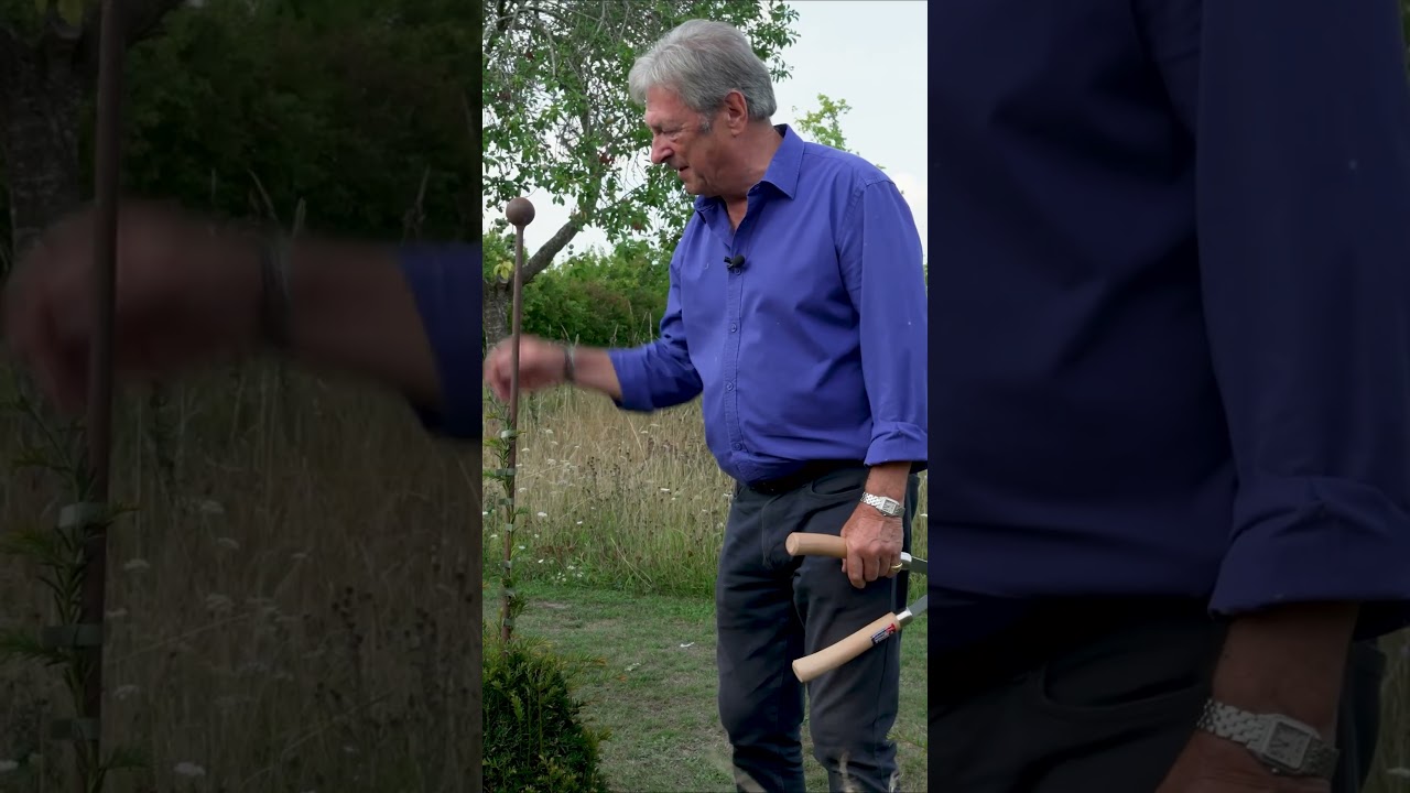 How to Make Your Own Topiary in the Garden 🌳✂️