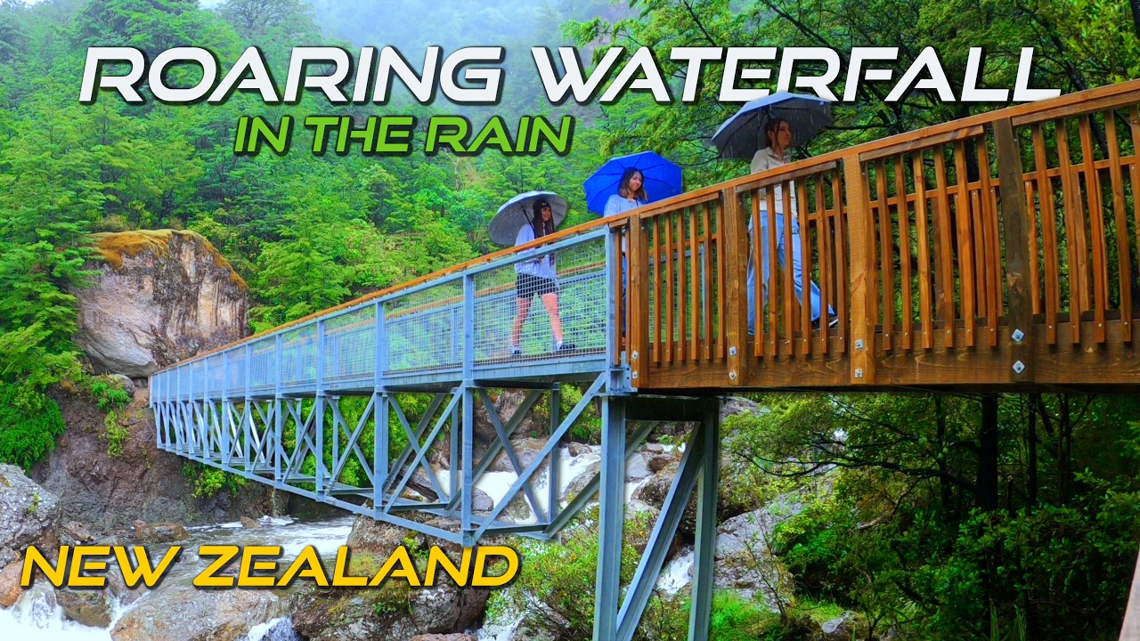Roaring Waterfalls in the Rain + Ancient Forest Giants (New Zealand)