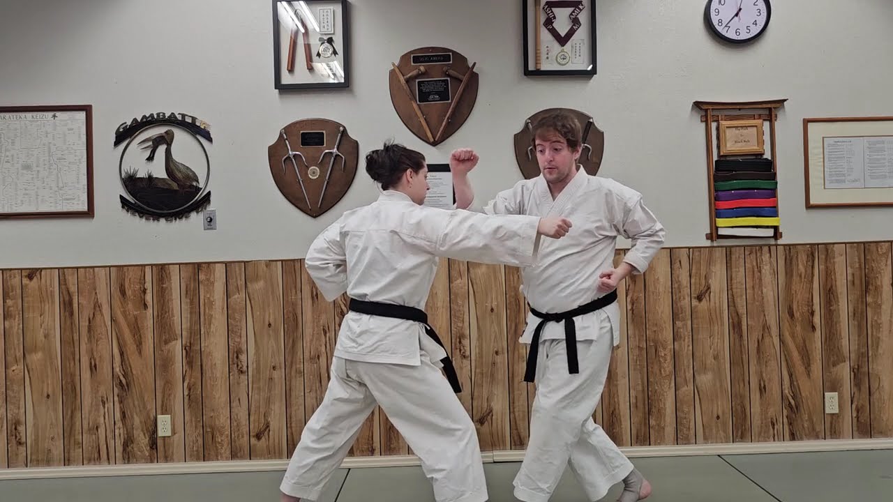 Pinan Godan Bunkai Instructional