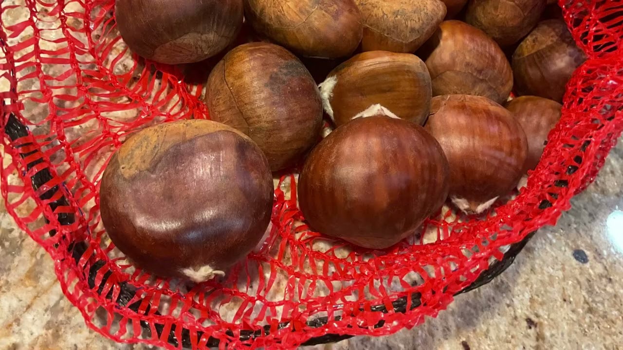 Colossal Chestnuts - Selah, Wa