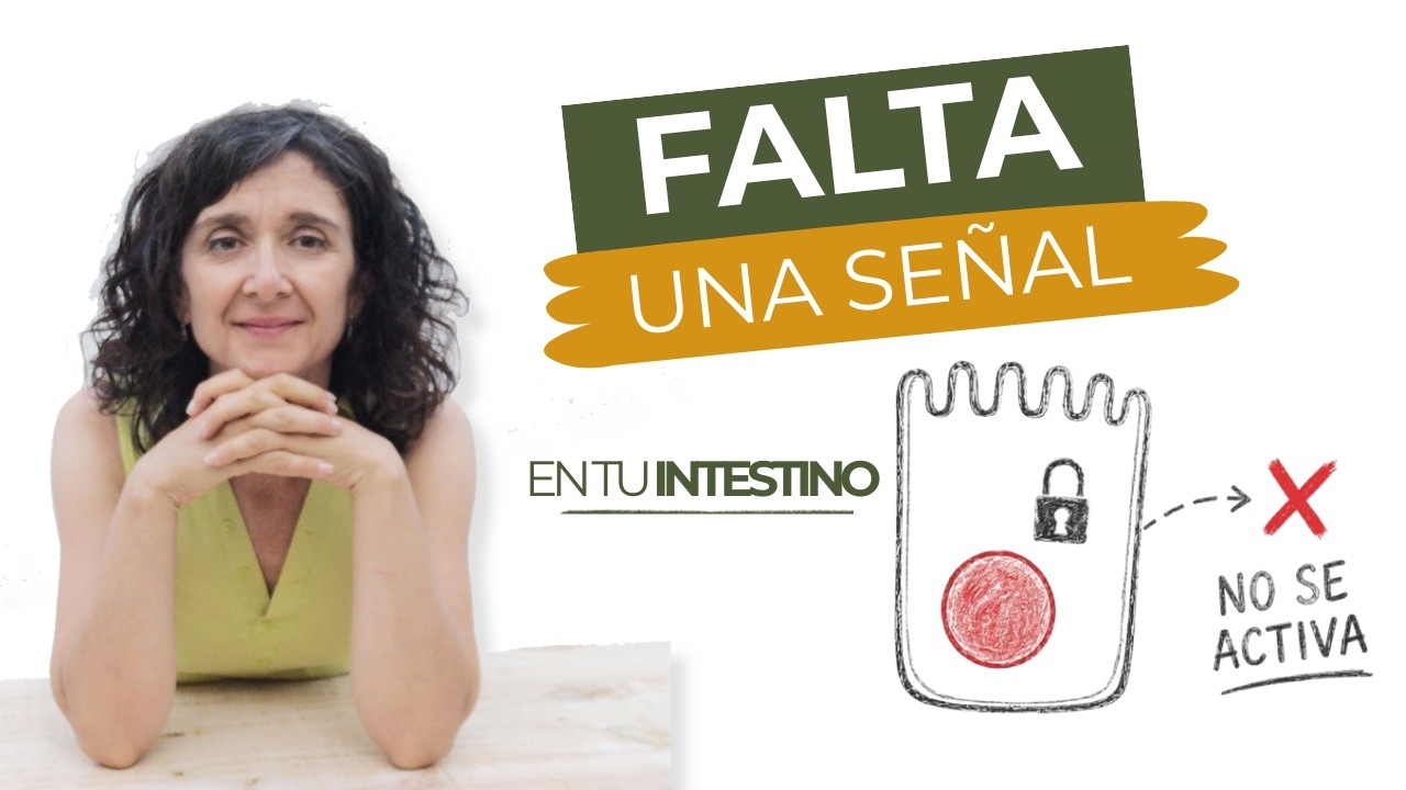 Vitamina A y salud intestinal: cómo influye en su renovación