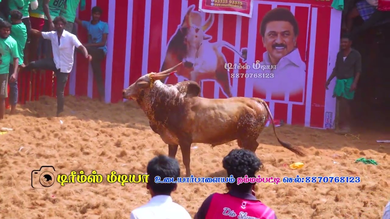 சிங்கிலியன்கோம்பை மட்ட காளி 