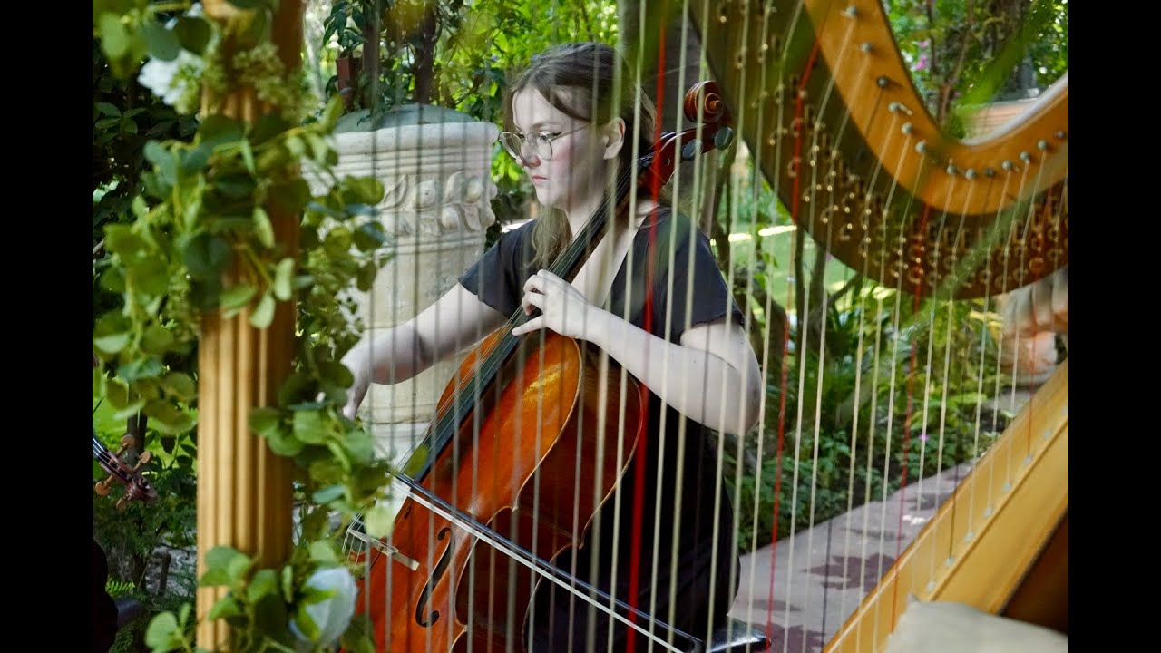 3 popular wedding recessionals for harp trio (harp, cello, violin)!