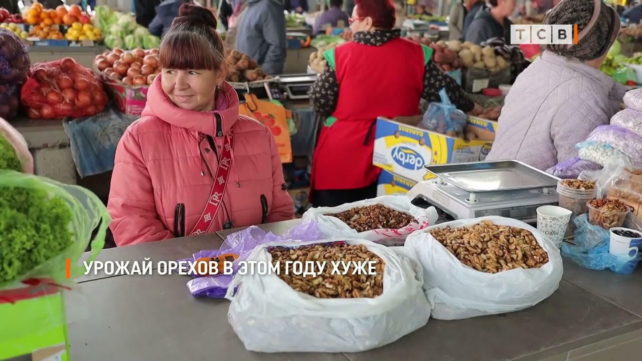 Урожай орехов в этом году хуже