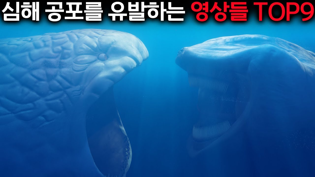 (심해공포증주의) 심신미약자는 절대로 클릭하지마세요.