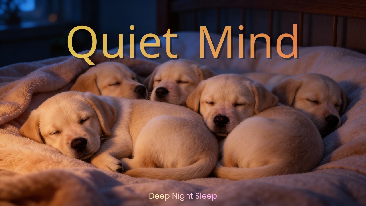 Let Go of Anxiety | Healing Ambient for Sleep