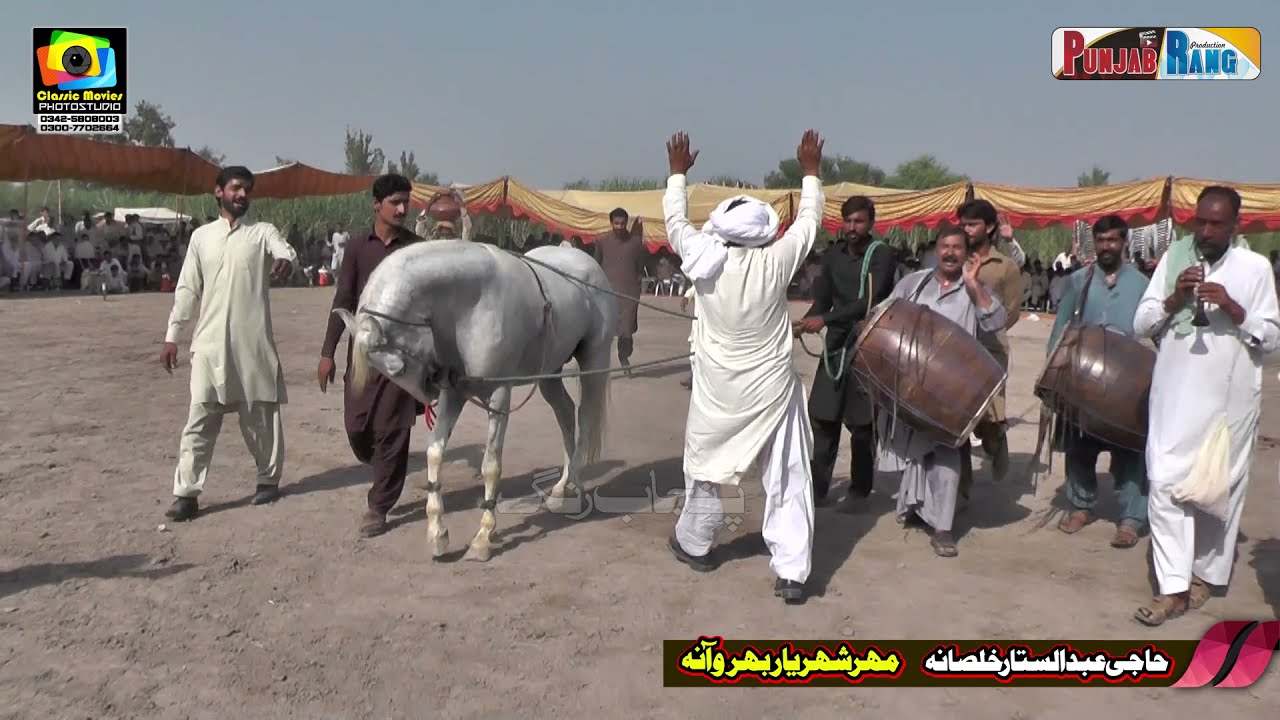 Remot ll Horse Dance ll Pakhra ll Mela Pakrah Sultan jhang 2021