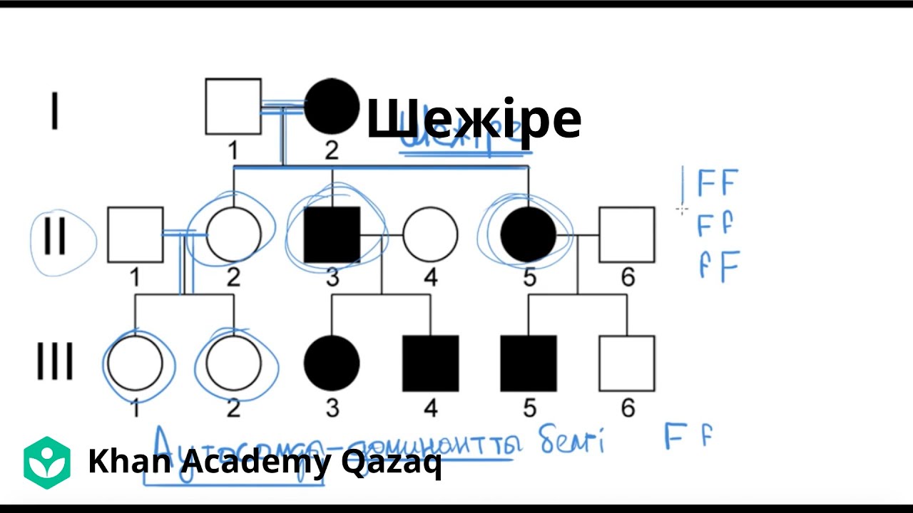Шежіре | Қазақ Хан Академиясы