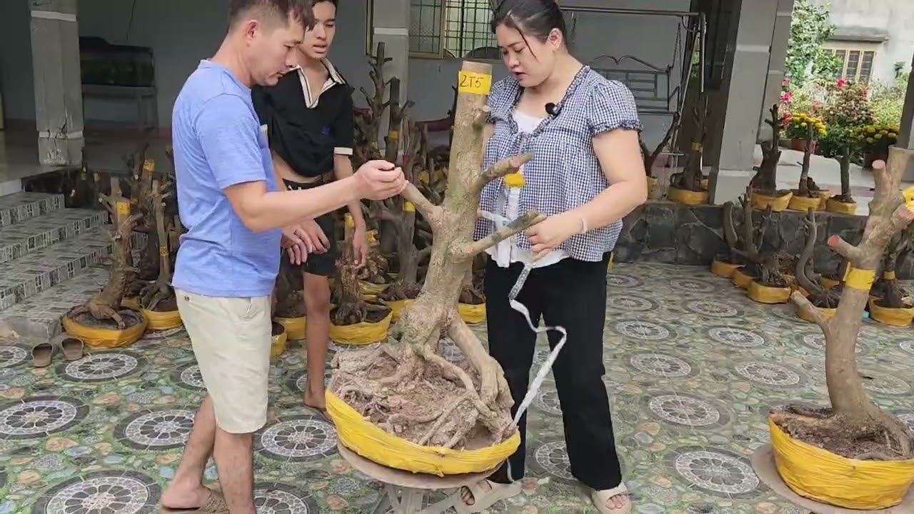 Mùng 3 Tết chị Diểm 0787905052 phôi mai giảo đẹp hoành to giá nhỏ 