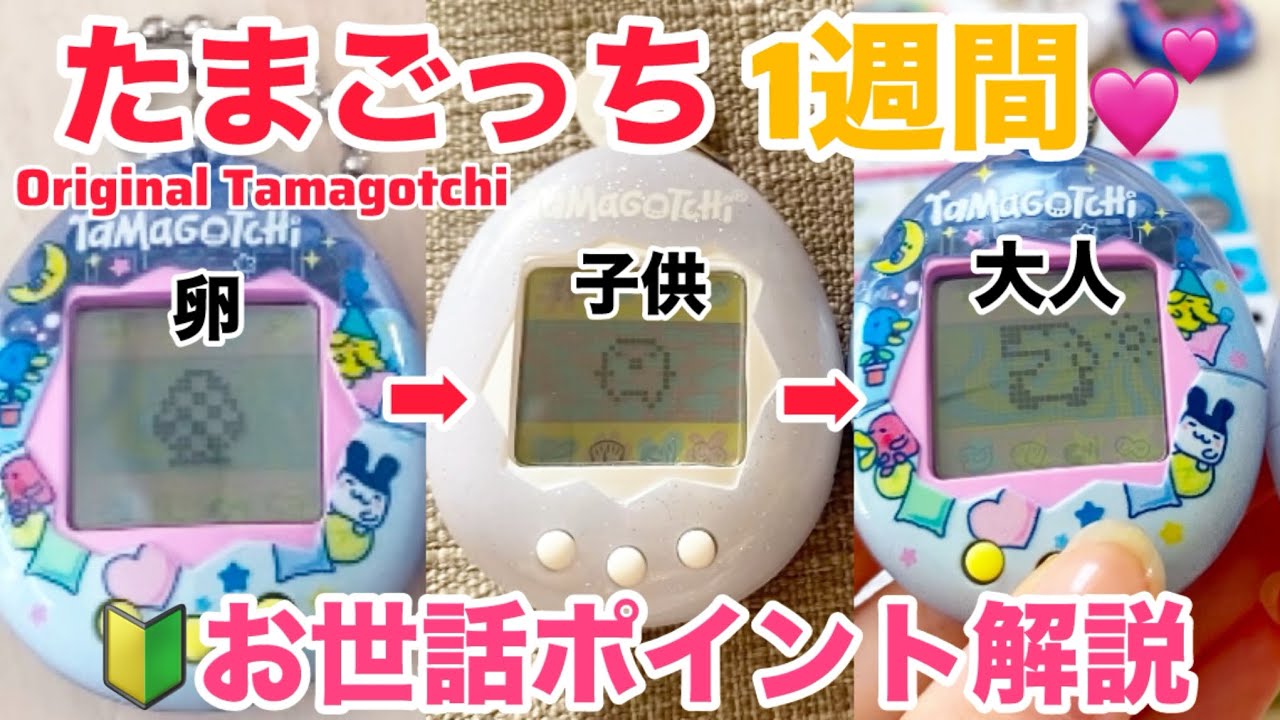 〜オリたま育成・進化ポイント伝授〜