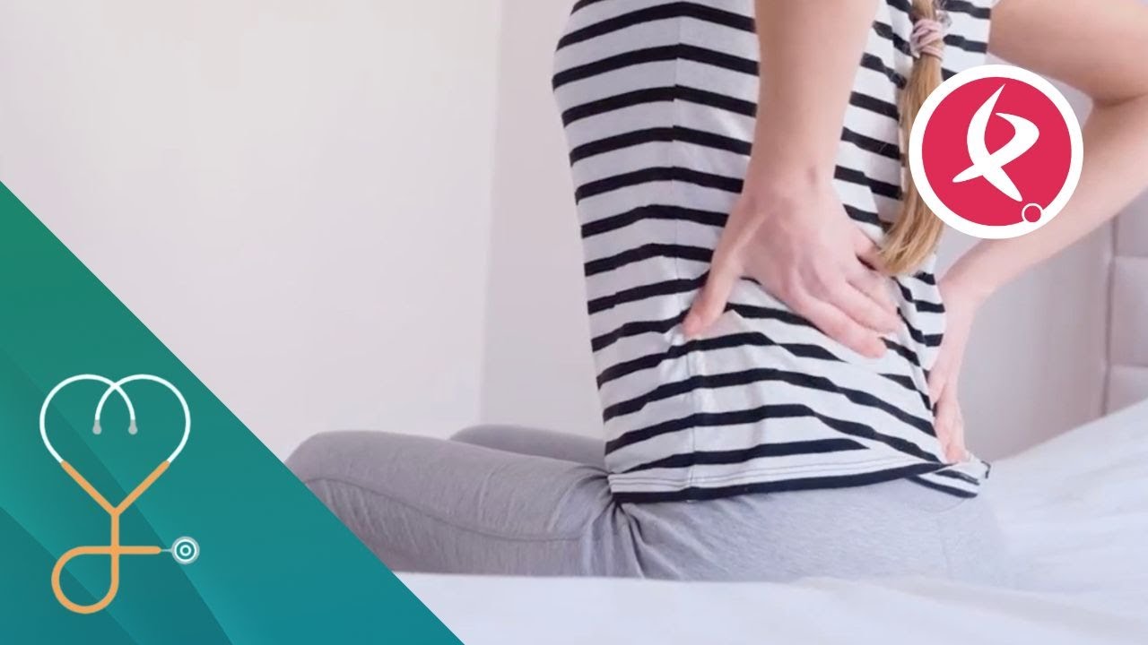 Riñones sanos: hábitos clave para prevenir problemas renales | A nuestra salud