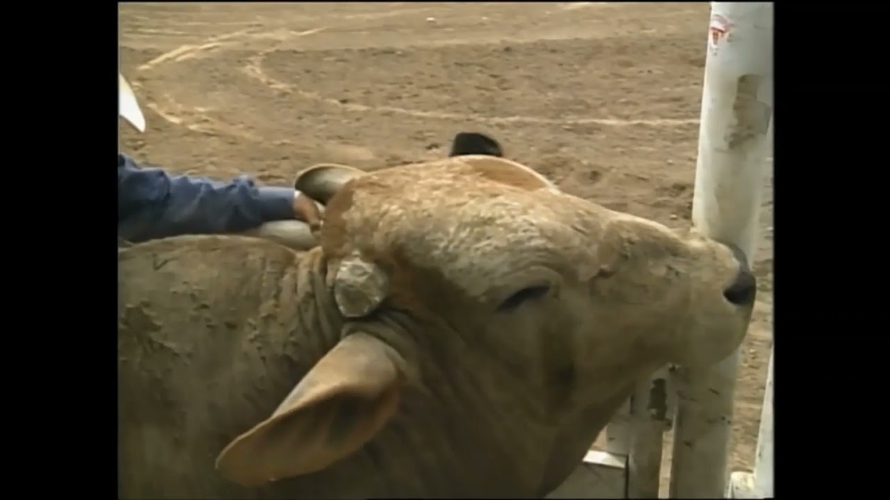 Gilbert Carrillo vs Fast Eddie - 95 PBR Del Rio (89 pts)
