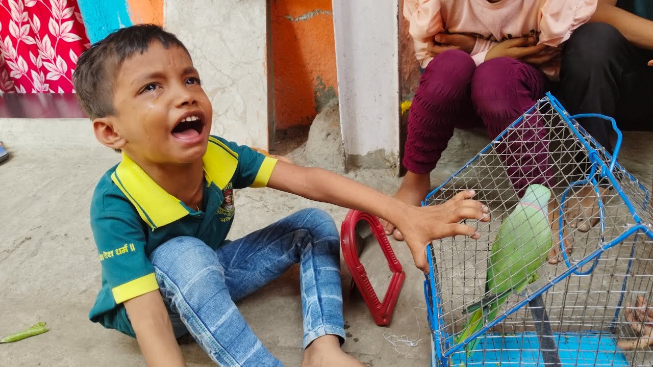  मिट्ठू को उड़ाने जा रहा हूं 