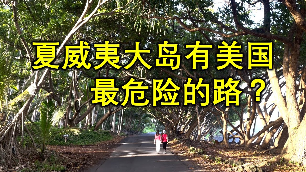 夏威夷大岛12天深度游(第9天)，误入大岛禁区，在美国“最危险”的路上开车，树林隧道，熔岩树。岛上东西两侧的居民互不往来是怎么回事？#hawaii #自驾游 #夏威夷