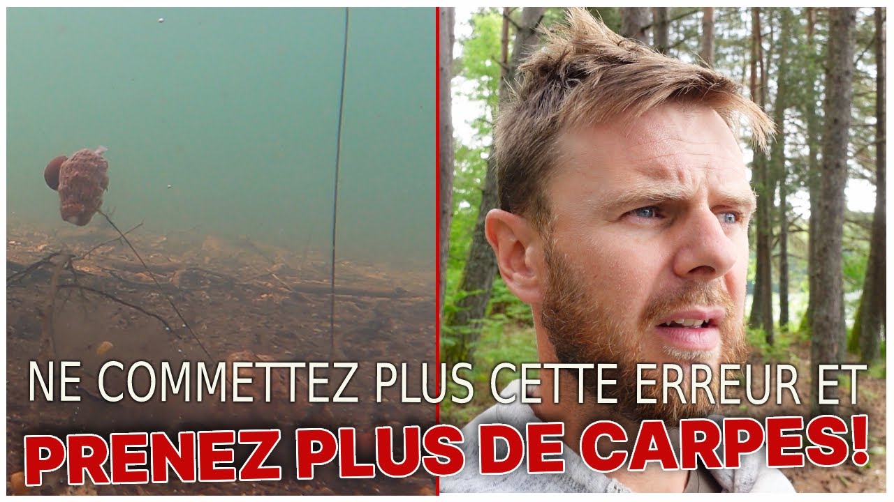 Ne commettez plus cette erreur ! Prenez plus de carpes grâce à un amorçage efficace