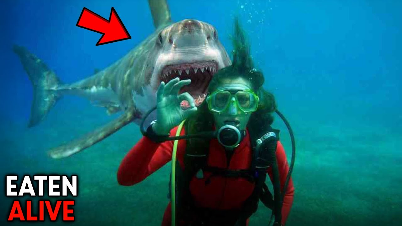 2025’s DEADLIEST Animal Encounters