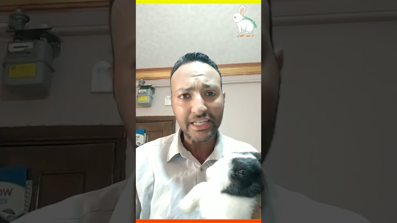 أخيرا الحل النهائي لالتهاب الضرع واسبابه