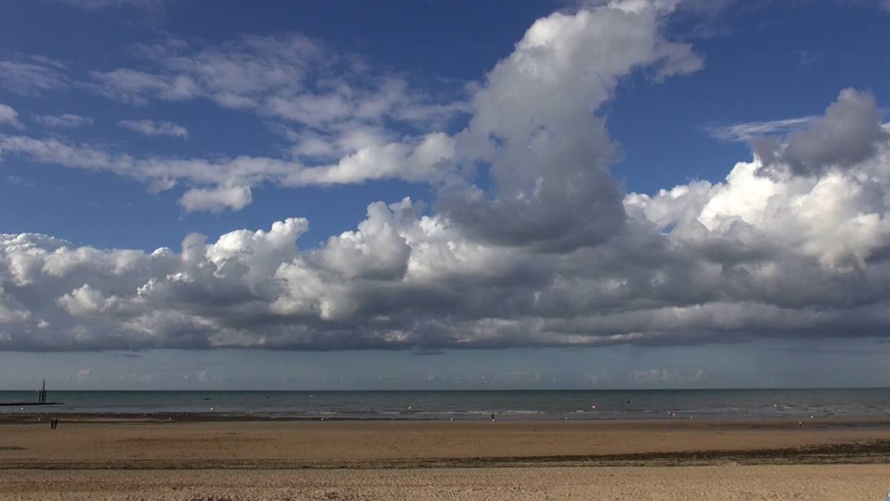 Exposition Galerie l'Onde Courseulles sur mer Betty GUZZO Ao&ucirc;t 2016