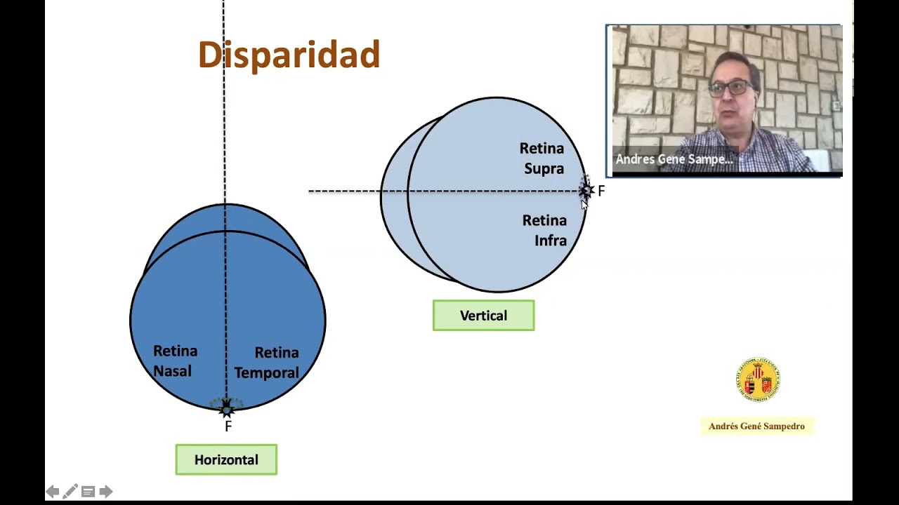 CBVB Disparidad mp4