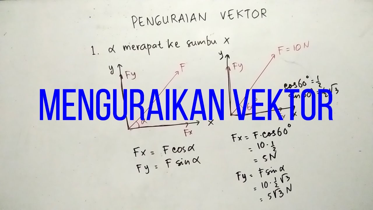 Cara menguraikan Vektor - FISIKA X SMA