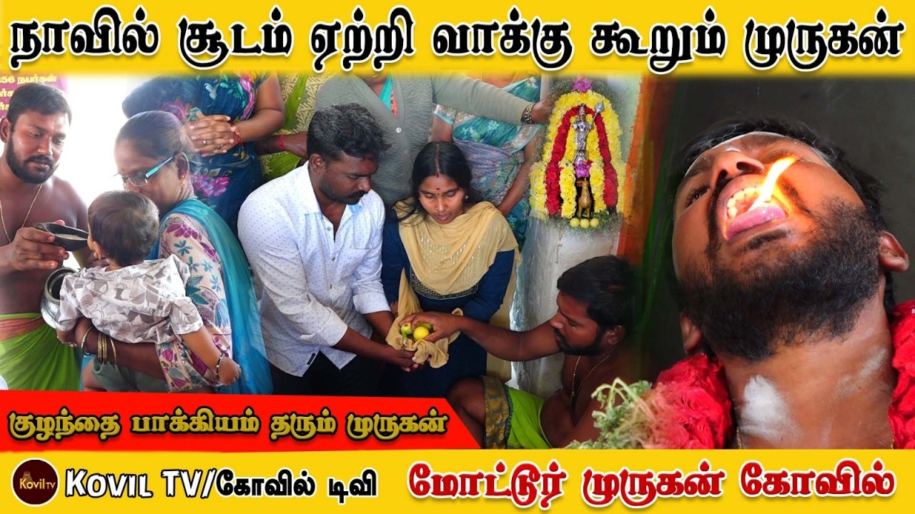 நாவில் சூடம் ஏற்றி வாக்கு கூறும் முருகன் | குழந்தை வரம்  கொடுக்கும் கோவில் #kovil_tv #yt #viral