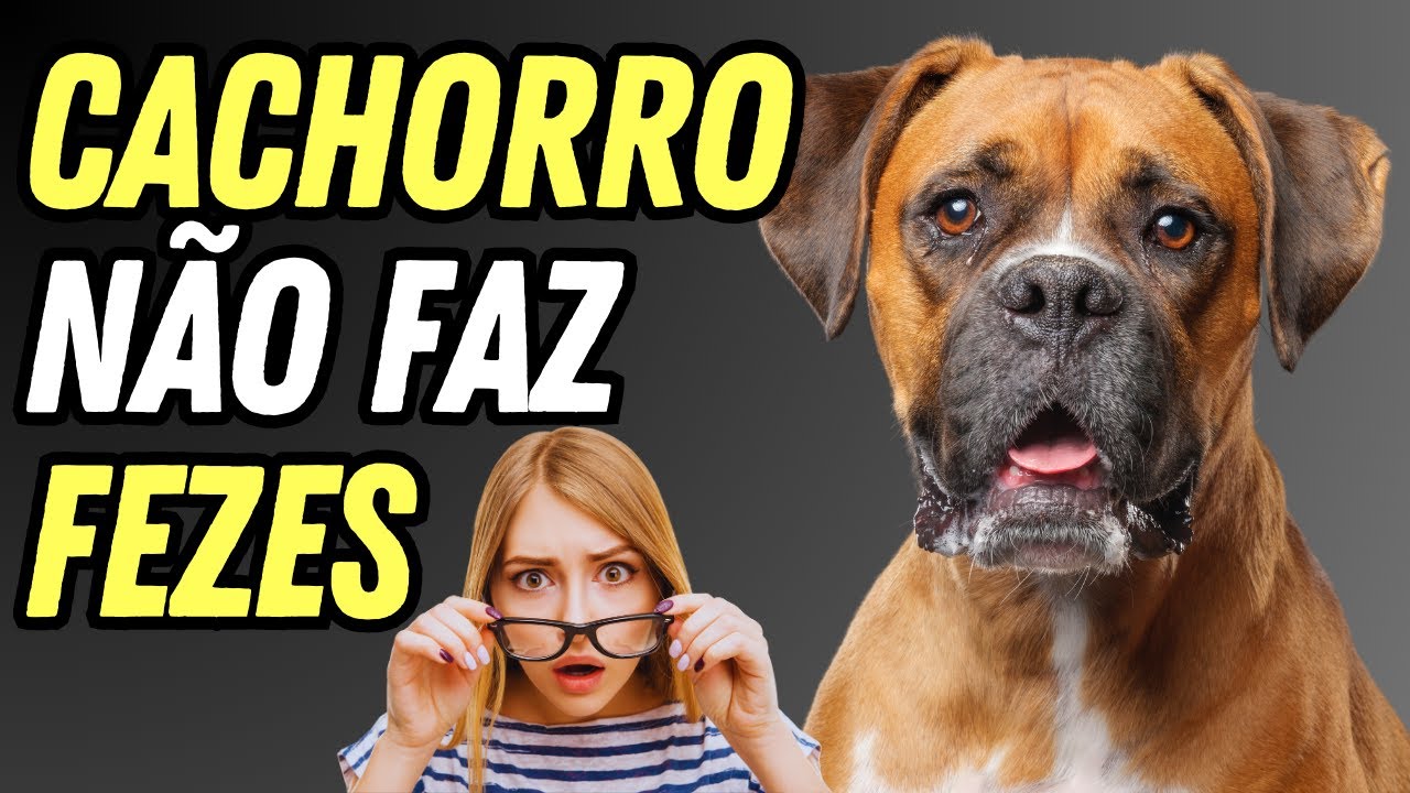 Tratamento para Constipação em Cães: Alimentos Indicados