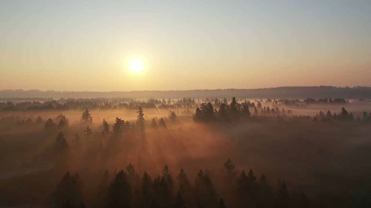 Morning Strings\Muzyka na Piękny Poranek\Music for a Beautiful Morning