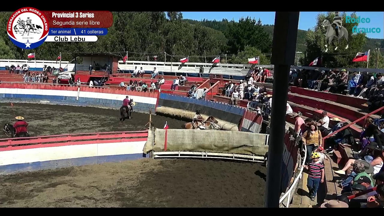segunda serie libre Rodeo provincial 3 series libres Club Lebu
