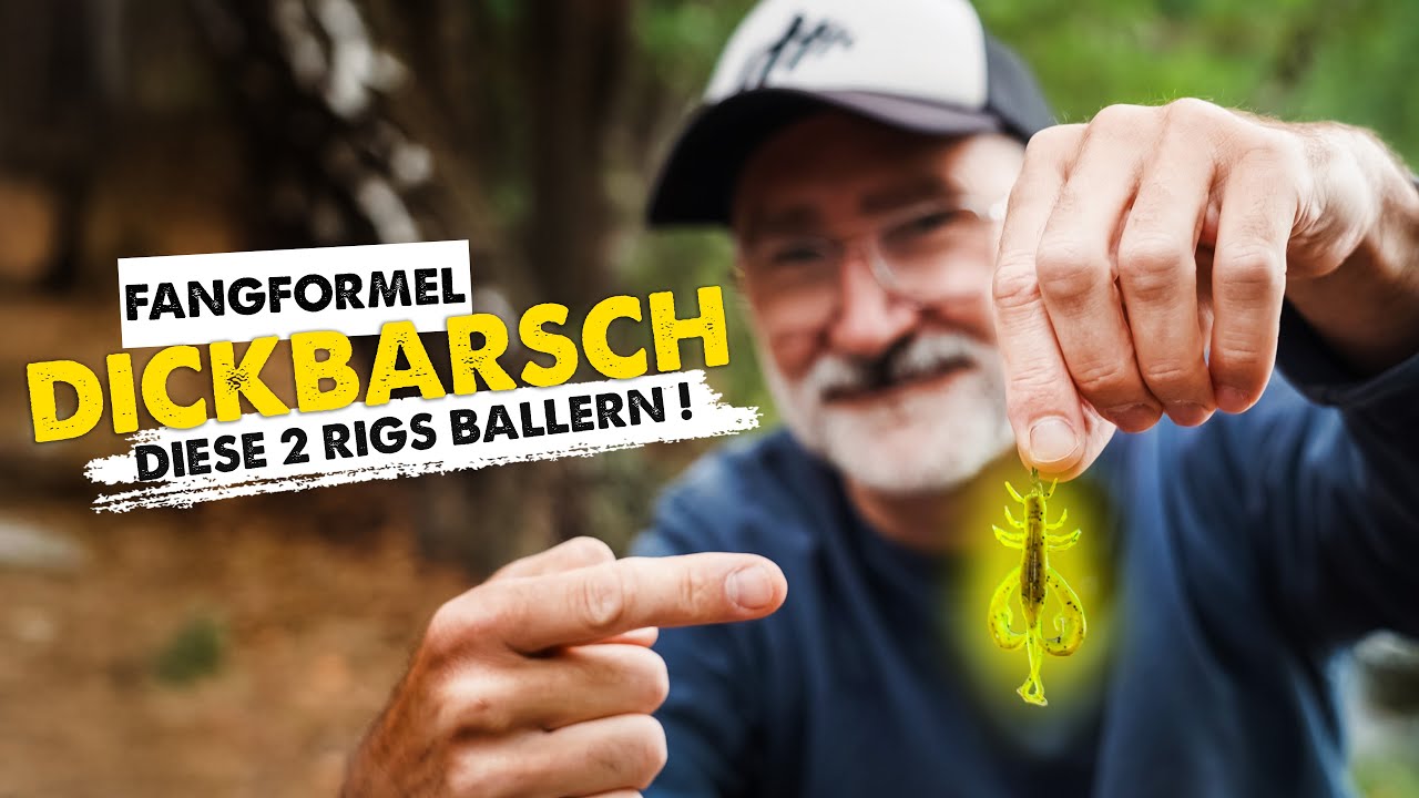 Kleiner Krebs - GROSSE WIRKUNG (diese 2 Rigs fangen IMMER)