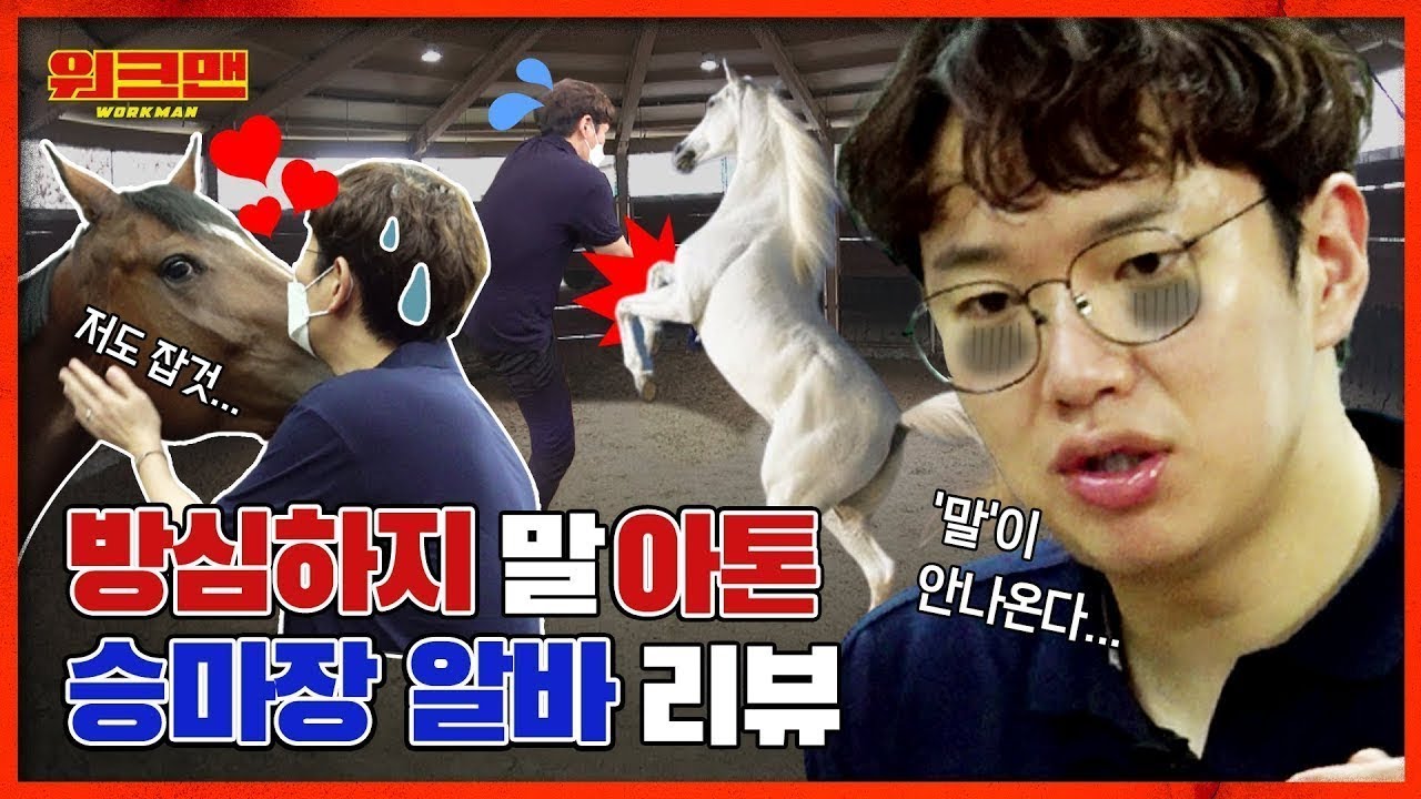 [ENG] ※馬성의 영상※ 먹여주고 씻겨주고 운동까지 다 시켜준다는 馬라맛 난이도 승마장 알바 리뷰 | 워크맨 ep.63