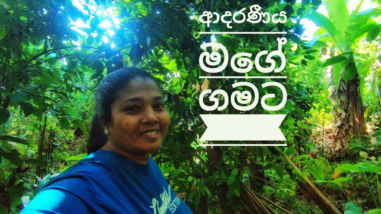 හීත නිවන ගම / Badalkumbura